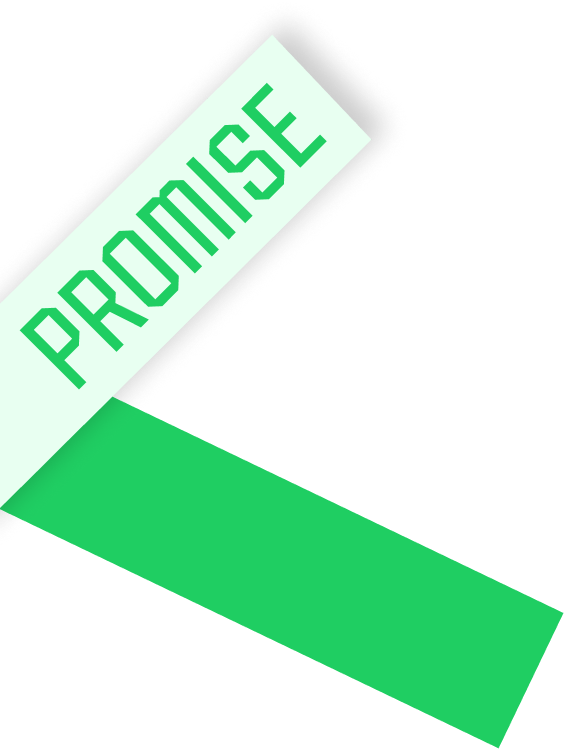 promise 리본